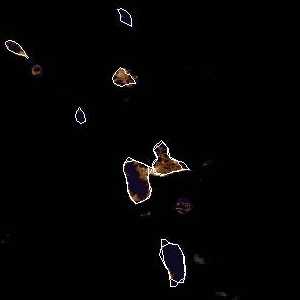 météo tropicale : Image satellite .