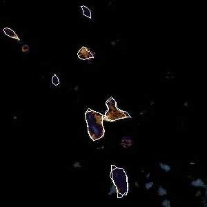 météo tropicale : Image satellite .