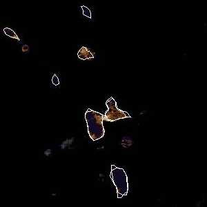 météo tropicale : Image satellite .