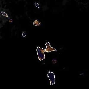 météo tropicale : Image satellite .