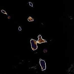 météo tropicale : Image satellite .