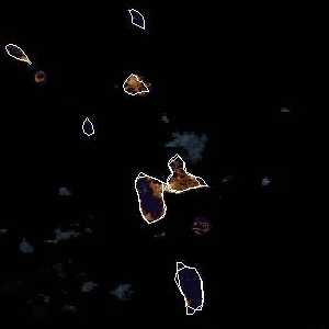 météo tropicale : Image satellite .