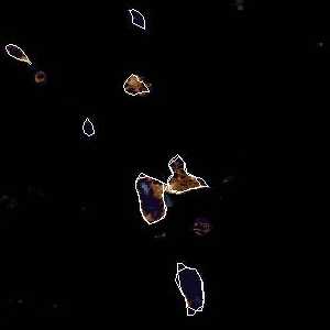 météo tropicale : Image satellite .