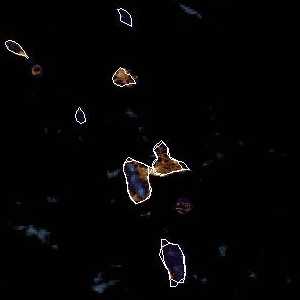 météo tropicale : Image satellite .