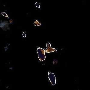 météo tropicale : Image satellite .