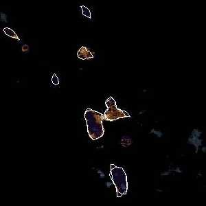 météo tropicale : Image satellite .