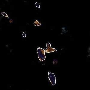 météo tropicale : Image satellite .