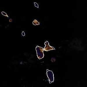 météo tropicale : Image satellite .