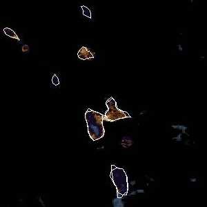 météo tropicale : Image satellite .