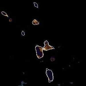 météo tropicale : Image satellite .