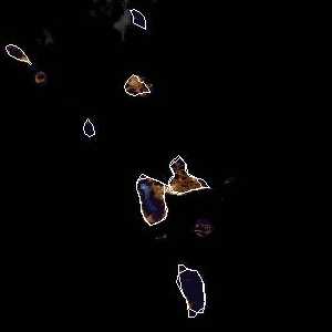 météo tropicale : Image satellite .