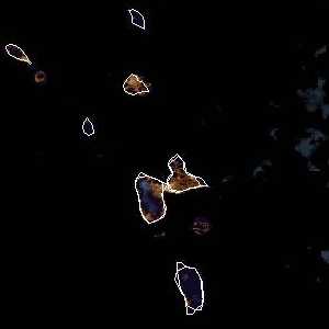 météo tropicale : Image satellite .