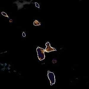 météo tropicale : Image satellite .