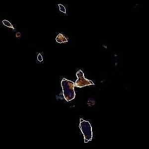 météo tropicale : Image satellite .