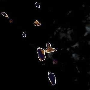 météo tropicale : Image satellite .