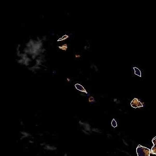 météo tropicale : Image satellite .