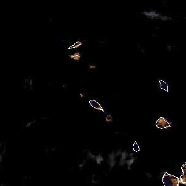 météo tropicale : Image satellite .