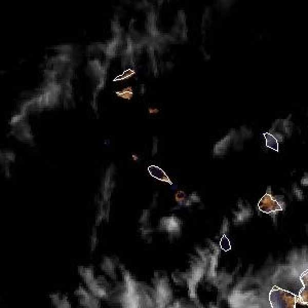 météo tropicale : Image satellite .