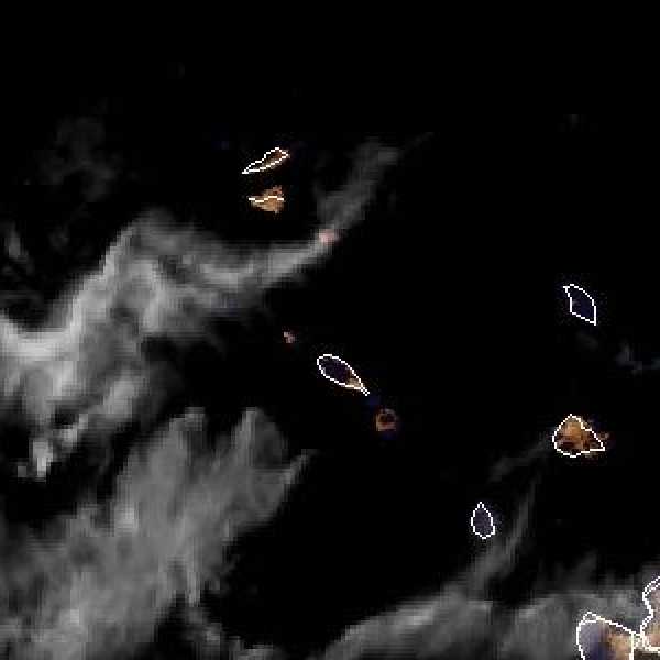 météo tropicale : Image satellite .