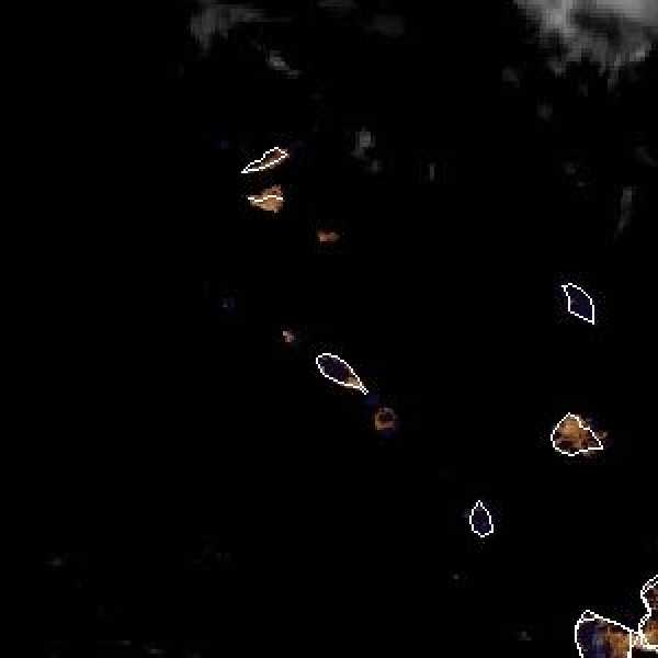 météo tropicale : Image satellite .