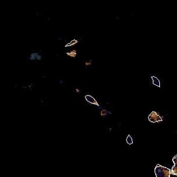 météo tropicale : Image satellite .