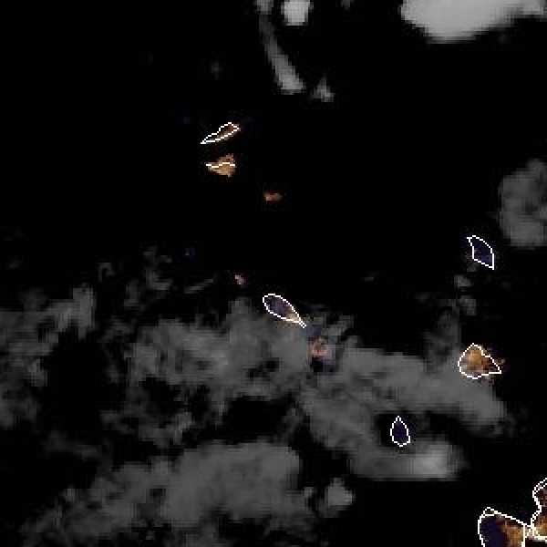 météo tropicale : Image satellite .