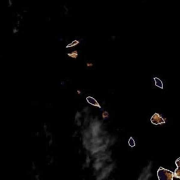 météo tropicale : Image satellite .