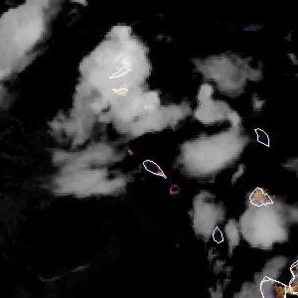 météo tropicale : Image satellite .
