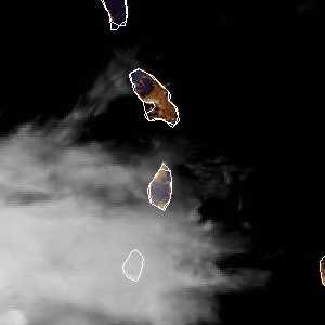 météo tropicale : Image satellite .