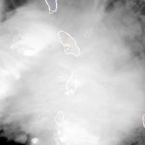 météo tropicale : Image satellite .