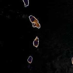 météo tropicale : Image satellite .