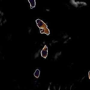 météo tropicale : Image satellite .