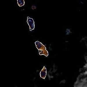 météo tropicale : Image satellite .