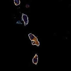 météo tropicale : Image satellite .