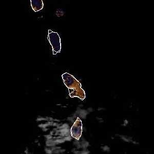 météo tropicale : Image satellite .