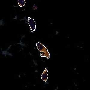 météo tropicale : Image satellite .