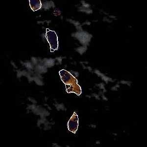 météo tropicale : Image satellite .