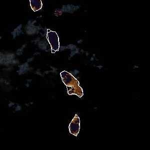 météo tropicale : Image satellite .