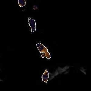 météo tropicale : Image satellite .