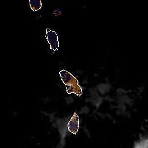 météo tropicale : Image satellite .