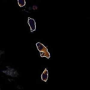 météo tropicale : Image satellite .