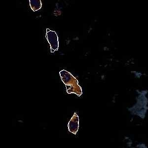 météo tropicale : Image satellite .