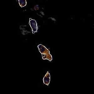 météo tropicale : Image satellite .