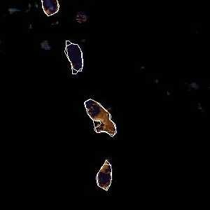 météo tropicale : Image satellite .