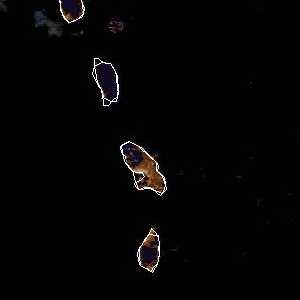 météo tropicale : Image satellite .