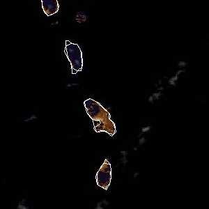 météo tropicale : Image satellite .