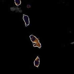 tropical weather: Satellite image.