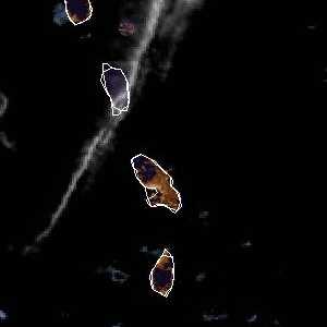 météo tropicale : Image satellite .