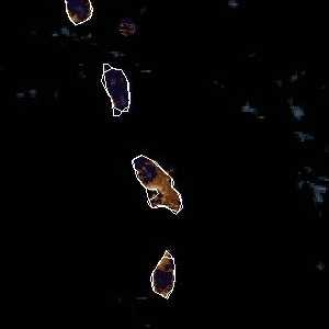 météo tropicale : Image satellite .