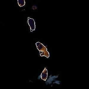 météo tropicale : Image satellite .